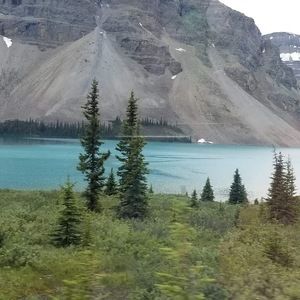 Meet your Posher, Tanya